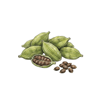  Cardamom