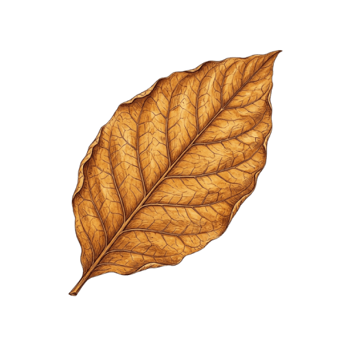 Tobacco